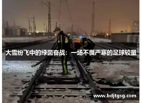 大雪纷飞中的绿茵奋战：一场不畏严寒的足球较量